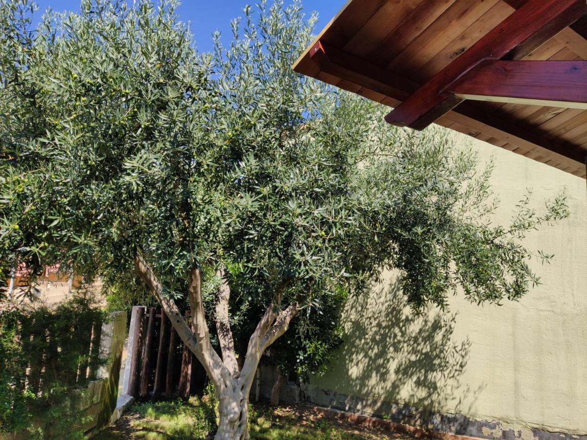 Villa Cruccuris 维拉西米乌斯 外观 照片